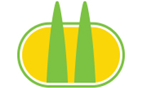 Double Torch Icon