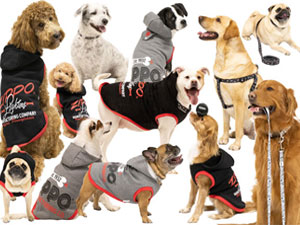 Pet Gear
