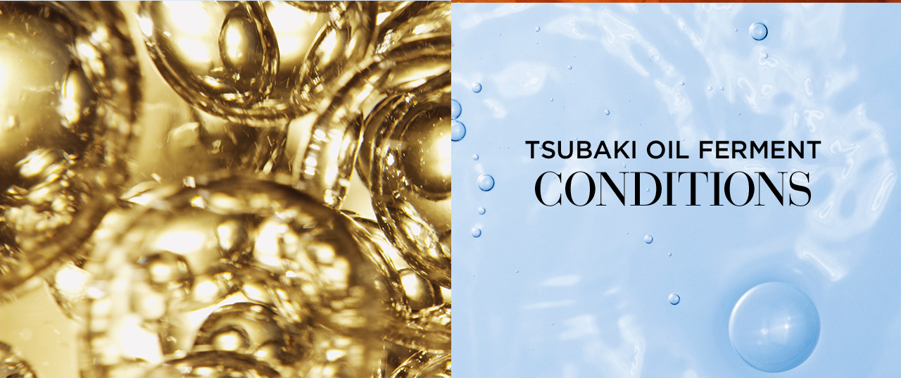 TSUBAKI OIL FERMENT CONDITIONS