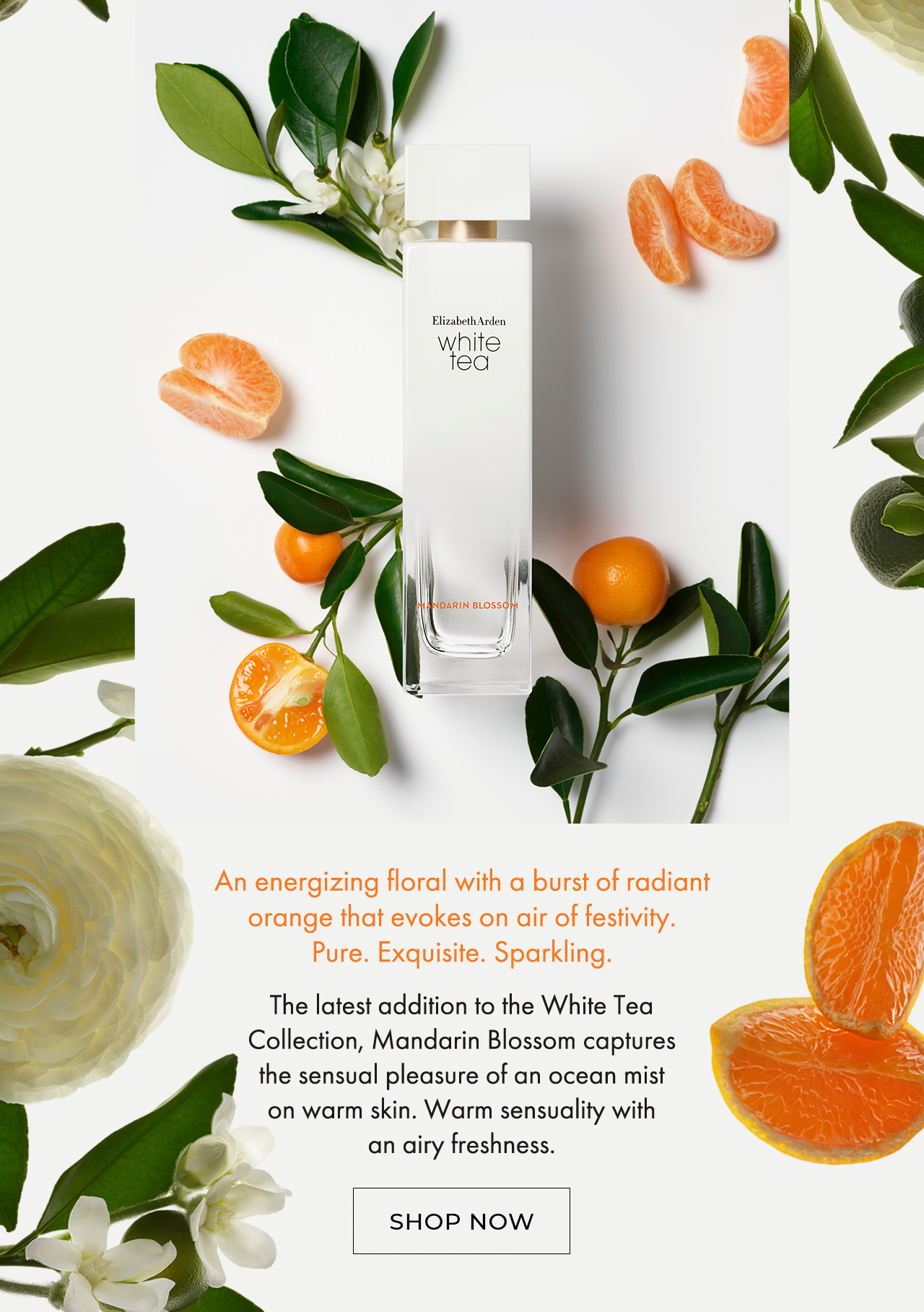 An energizing floral with a burst of radiant orange that evokes on air of festivity. Pure. Exquisite. Sparkling. SHOP NOW