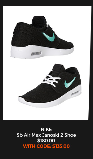 Nike SB Shoe