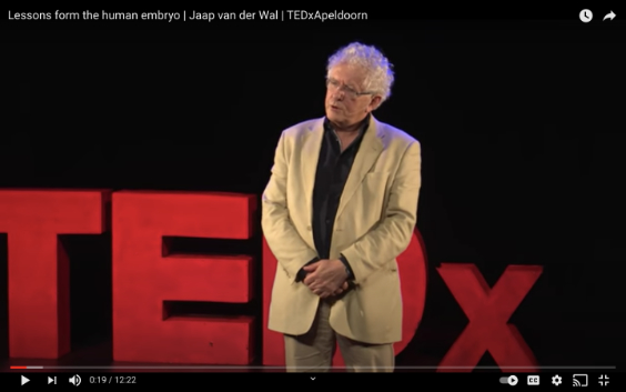 Lessons form the human embryo | Jaap van der Wal | TEDxApeldoorn