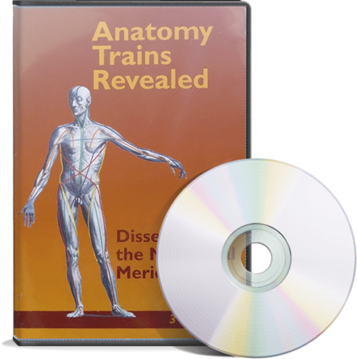 Anatomy Trains Revealed: Dissecting the Myofascial Meridians