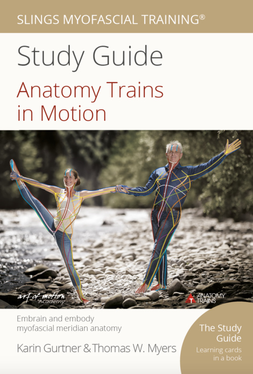 Anatomy Trains in Motion Study Guide