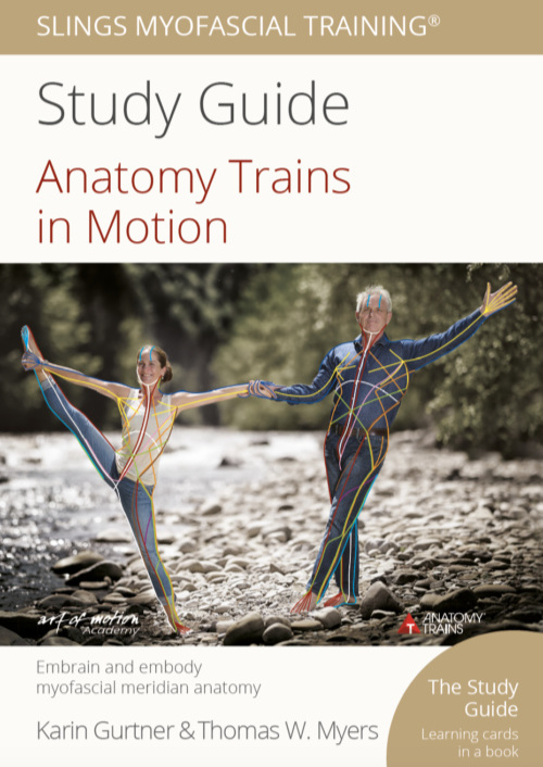 Anatomy Trains in Motion Study Guide