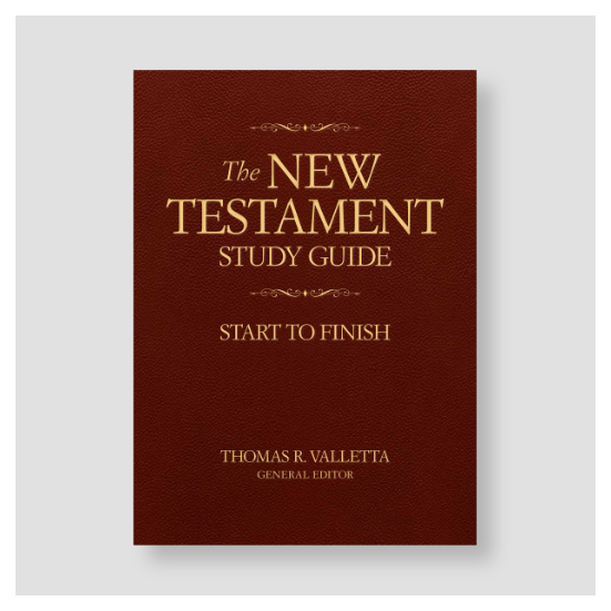 the new testament study guide