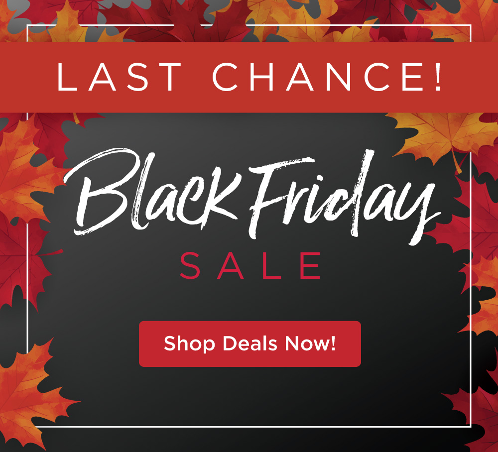 Black Friday Sale - Last Chance