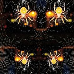 Nancy Bechtol - spider web mandala, 2019