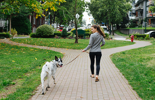 woman-walking-dog.jpg