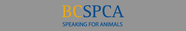 BC SPCA - Speaking for Animals