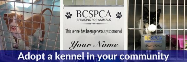 Adopt a kennel in your community
