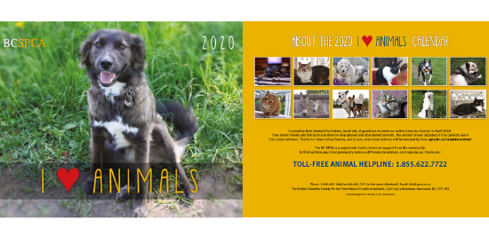 2020 BC SPCA Calendar