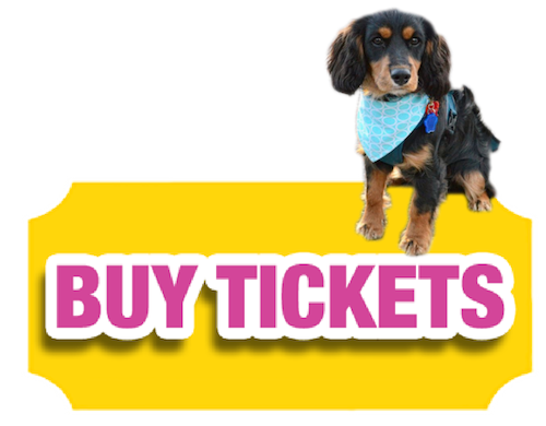 spaniel-buy-tickets.png