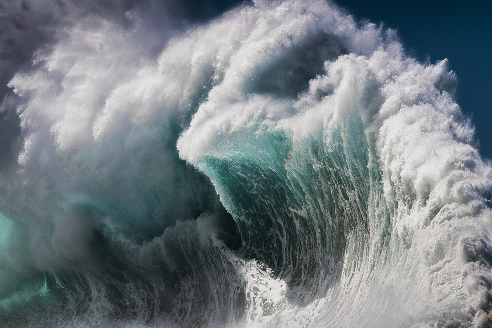 ray collins fleeting perspectives