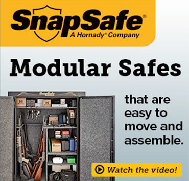 web ad - modular safe