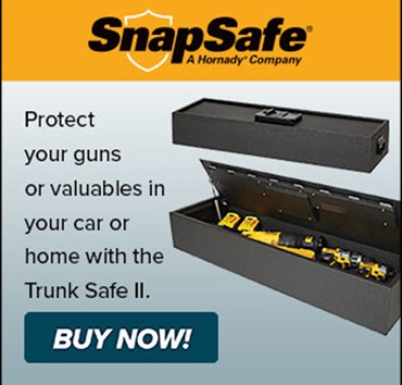 web ad - trunk safe II
