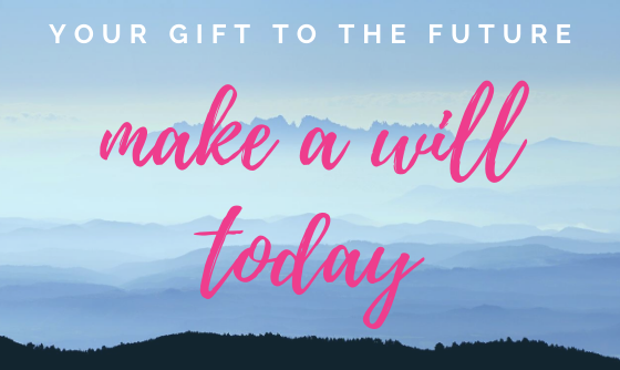 Make a will today image