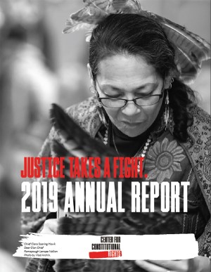 cover of the annual report Chief Clara Soaring Hawk, Deer Clan Chief, Ramapough Lenape Nation Photo by Vlad Archin