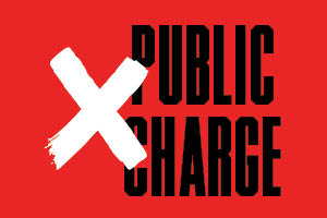 Public charge with a large x covering it