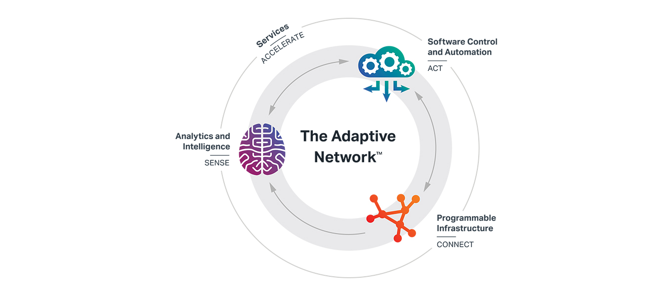 The Adaptive Network diagram