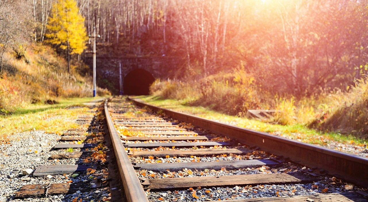 Did you know that leaves on the line are the rail equivalent of black ice on the roads?