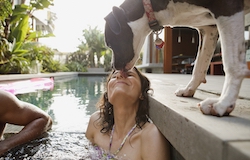  Go on vacation with your pet or take care of your hosts'' pets