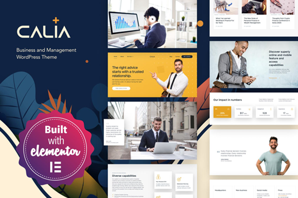 Calia Business & Management WP Theme