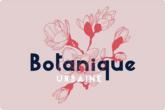Millefleur | Sans Serif Font Duo