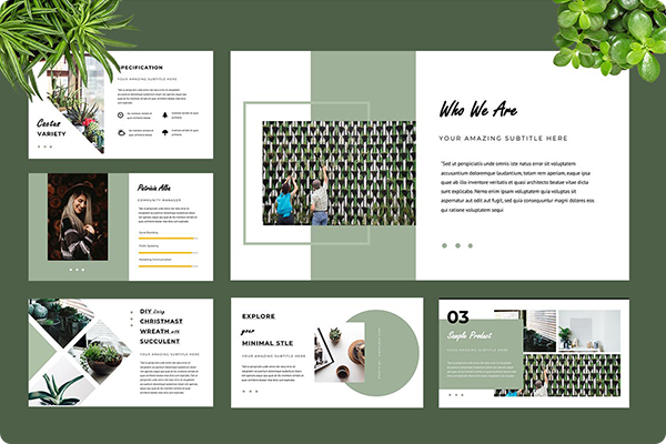 Botany PowerPoint Presentation
