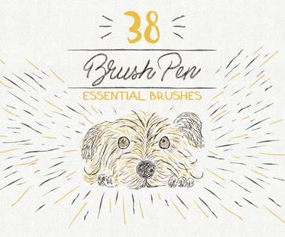 Essential Vector Brushes Collection