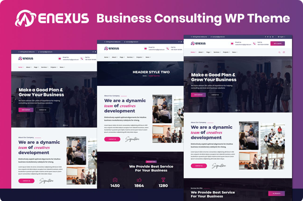 Enexus Business WordPress Theme