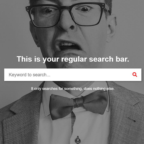 Search Bar Ads | WooCommerce
