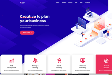 Pixer | Agency Theme