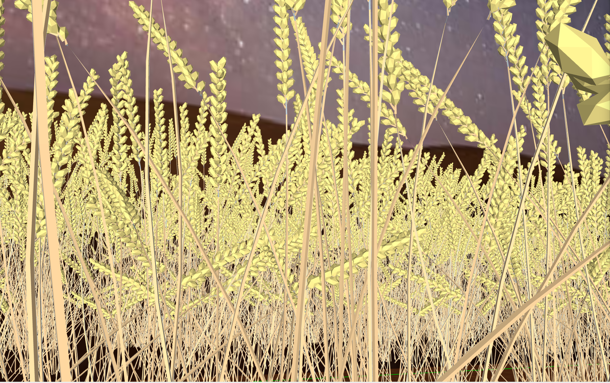golden sheaves of wheat in a field