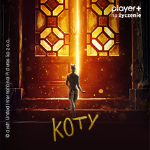 Koty