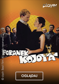 Poranek Kojota