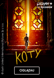 Koty