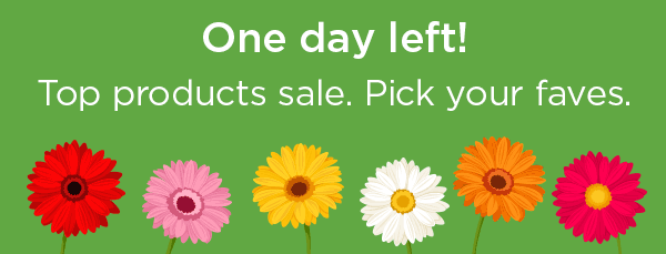One day left!Top products sale. Pick your faves.