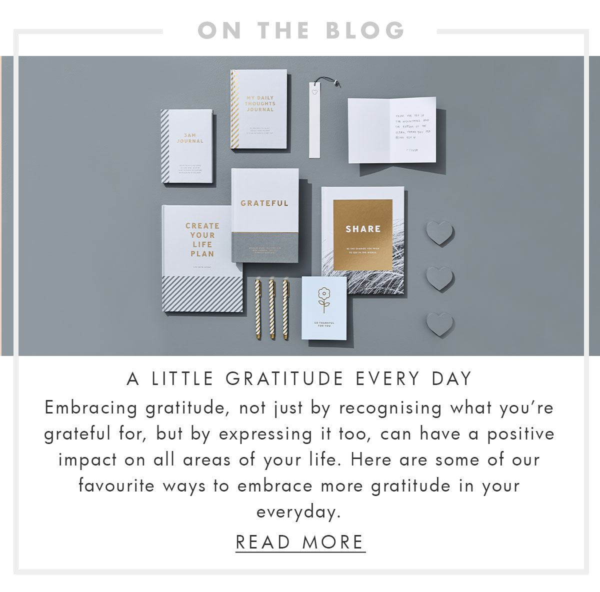 On the blog. A little gratitude every day. Read more. 