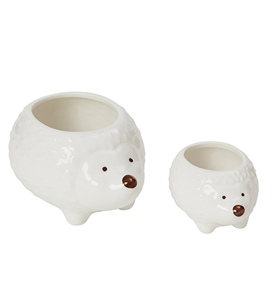 Porcelain Hedgehog Pot Planters 2PK. Shop now. 